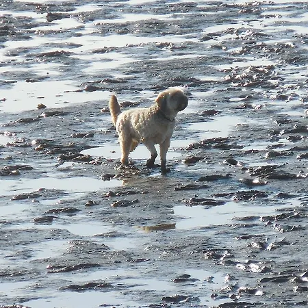 Klapoetke Holiday home