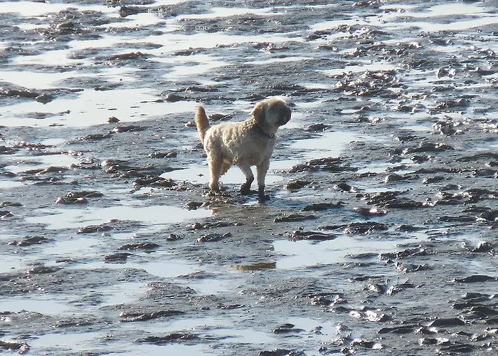 Klapotke Дом отдыха